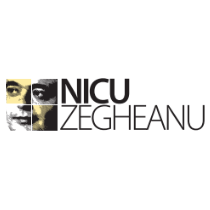 Nicu Zegheanu